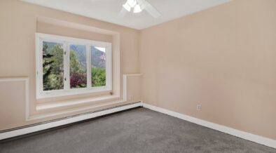 dywany i tapicerki czyszczenie