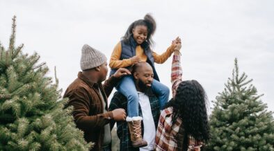 wybor choinki swiatecznej