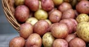 Kolorowe ziemniaki czyli „superfoods” po polsku
