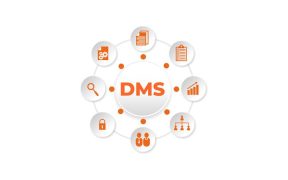 najlepszy-system-do-elektronicznego-obiegu-dokumentow-wyjasnia-dr-przemyslaw-soldacki-ceo-amodit